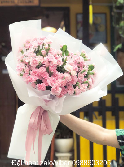Vì sao nên tặng Hoa sinh nhật hoa cẩm chướng